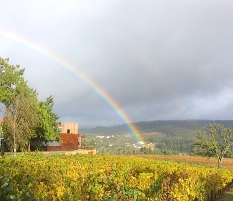 Rainbow over Quinta da Lixa, Vinho Verde, Portugal; photo by Hayley Hamilton Cogill 