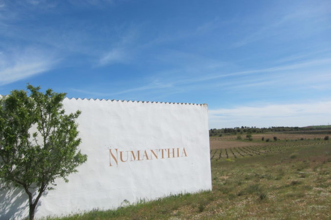 Numanthia vineyards in the Toro region of Spain