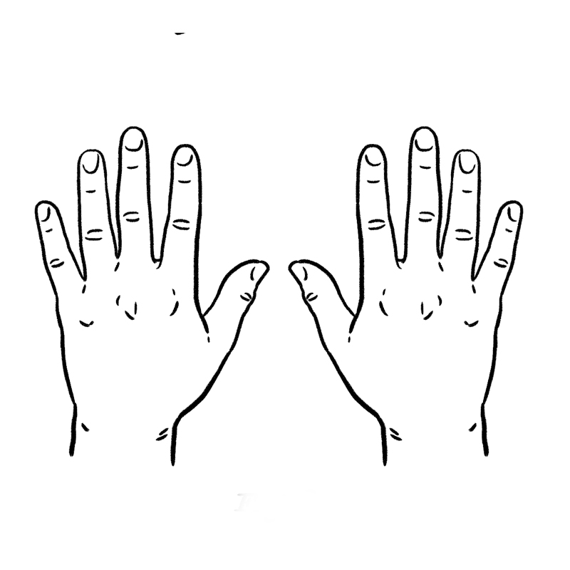 Fig 2.: Hands