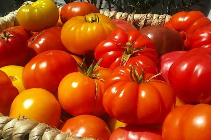 Heirloom tomatoes from Kendall-Jackson Winery's sustainable garden