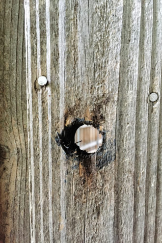 Ira’s son found a suspicious hole had been drilled in his father’s backyard fence.