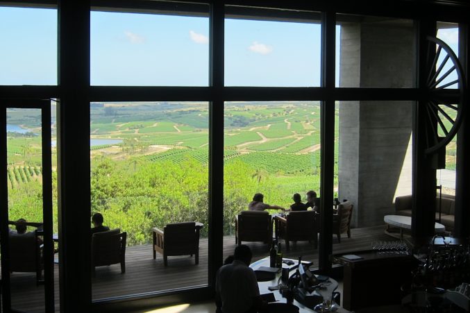 Guests relax on the terrace of Bodega Garzon overlooking vineyards. 