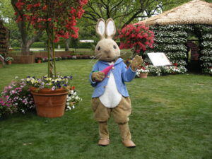 Peter Rabbit 2010 086