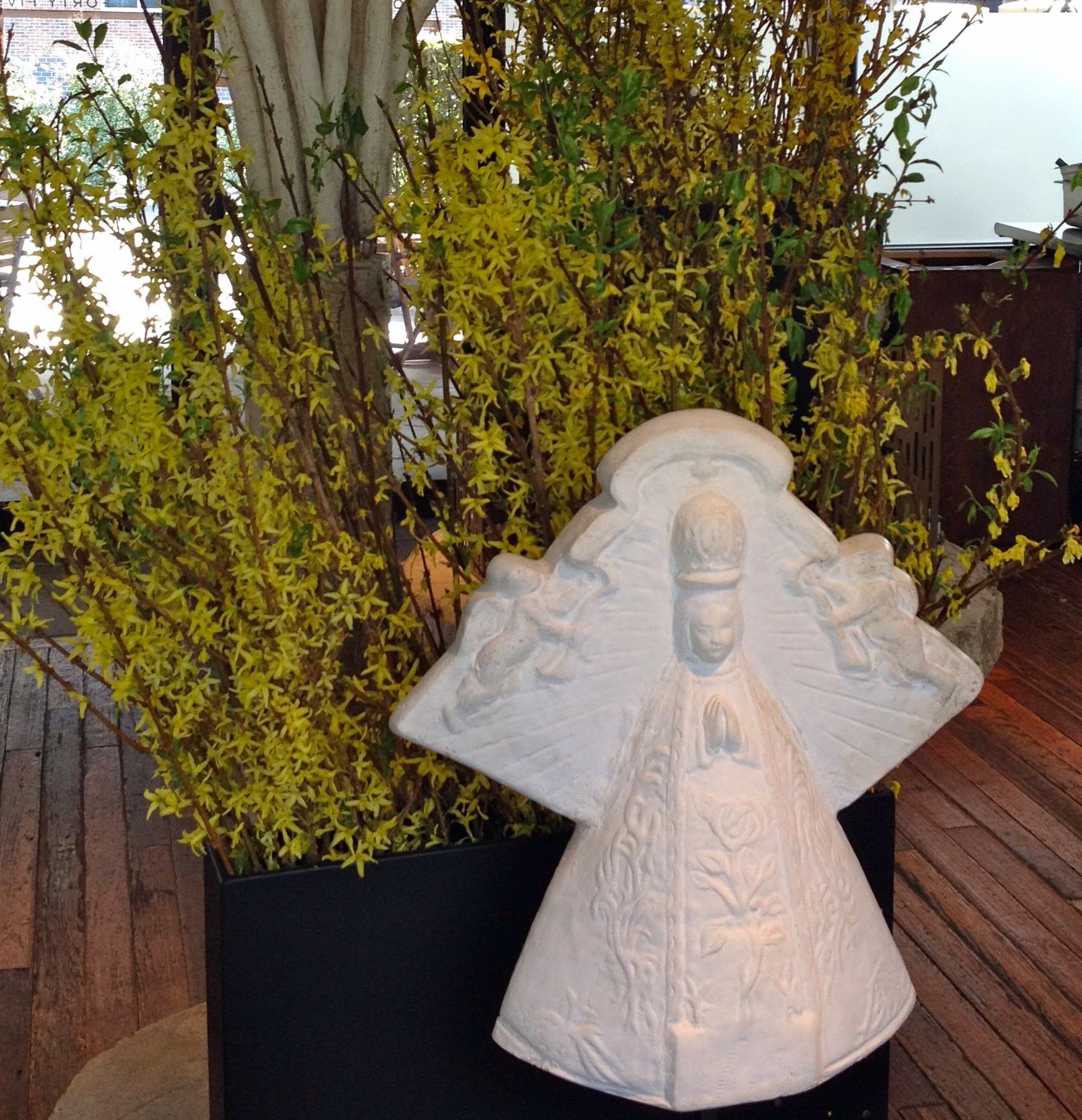 Weekend To Do List Buy Flowering Branches D Magazine