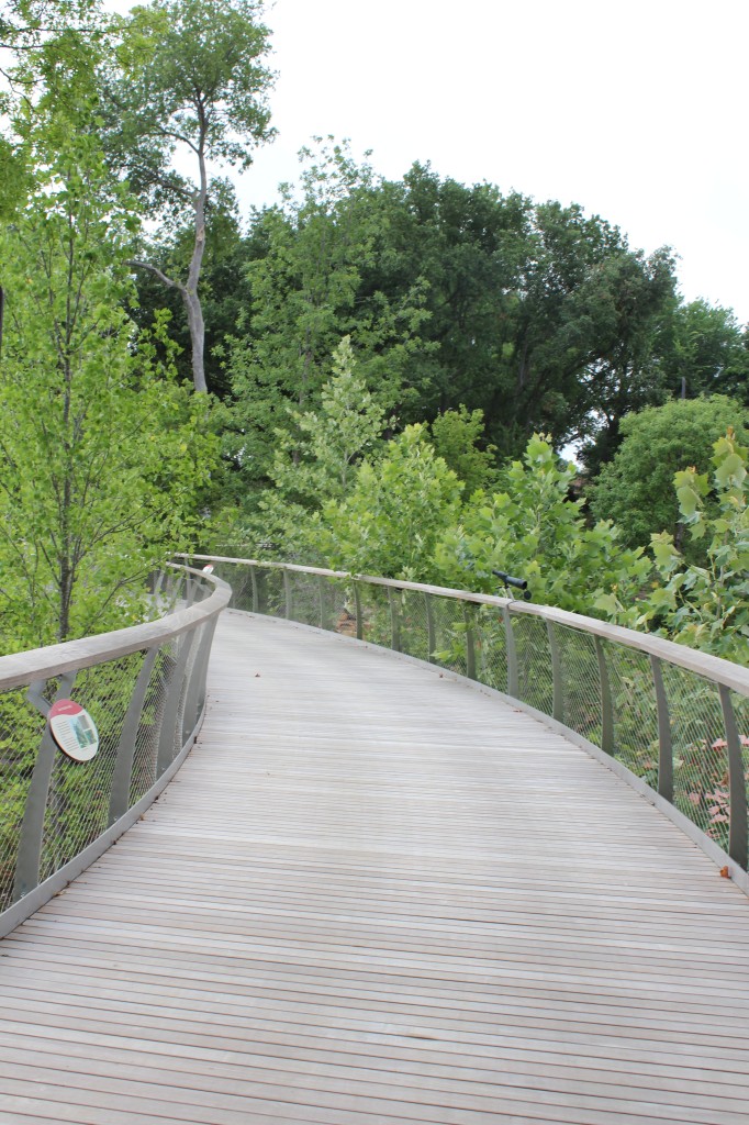 This is where you play soccer until a docent comes up and say, "Would you please stop playing soccer on the canopy walk?"