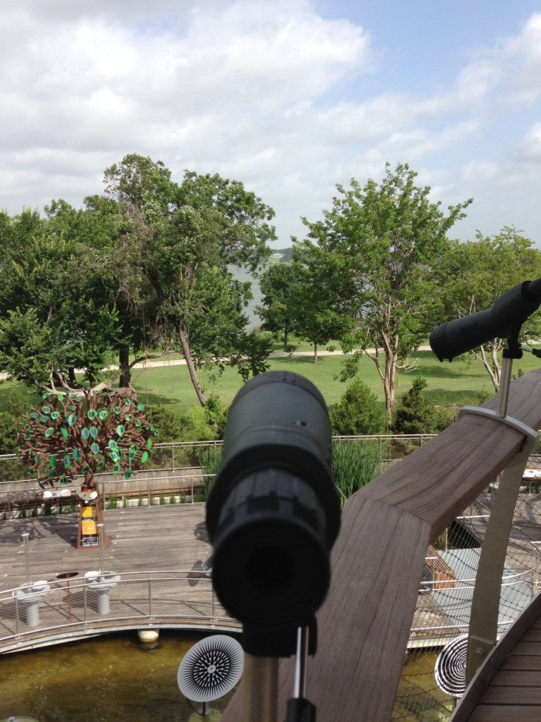 Wide angle view over treehouse spy glass.