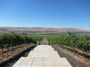 View down from Red Mountain at ColSolare