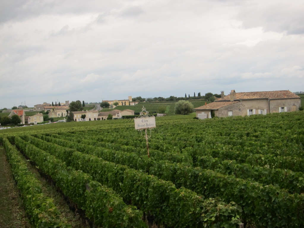 Vineyards of Saint Emilion