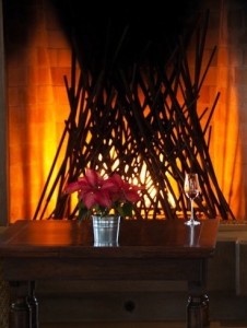 Soter fireplace