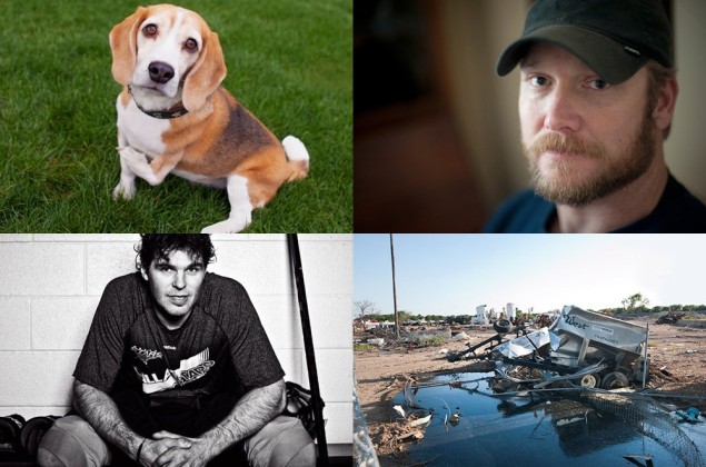 (Clockwise from top left): A dog, a war hero, a devastated town, and a journeyman athlete.