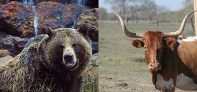 And I'm pretty sure California's state mammal could eat Texas' state mammal.   (photos: Lisa Williams/Flickr and FieldSportsTV/Flickr.)
