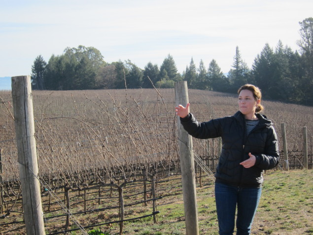 Paul Hobbs Winemaking Director Megan Baccitich