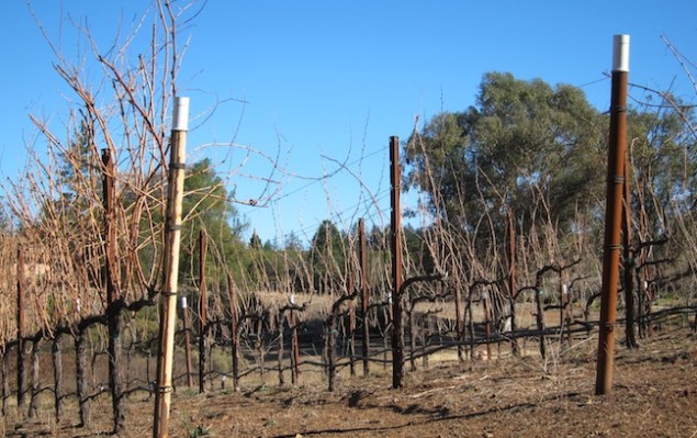 Ladera Howell Mountain Vineyards