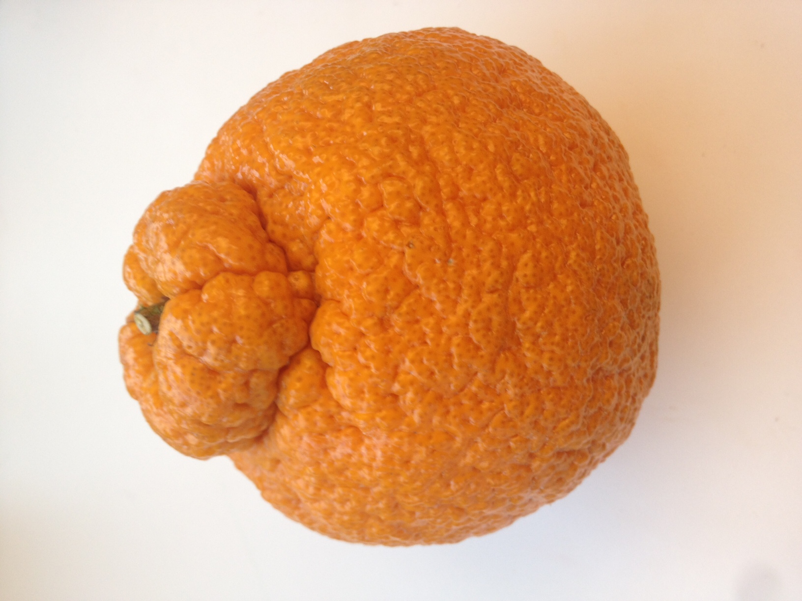 What is a Sumo Orange?