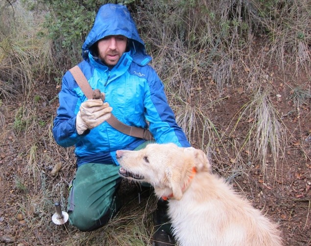 Truffle hunter Mario and his truffle hunting pup, Theo