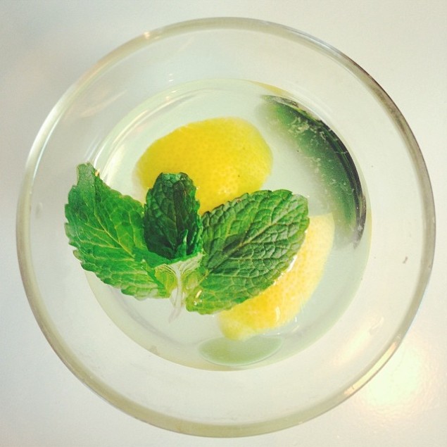 Homemade limoncello, club soda and fresh  mint from the garden. Photo Nikki Rosen