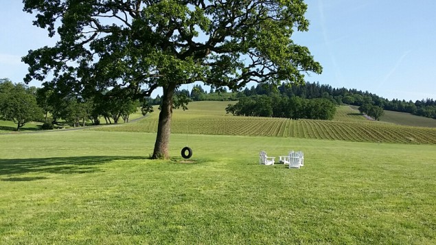 Stoller Family Vineyards in Willamette Valley