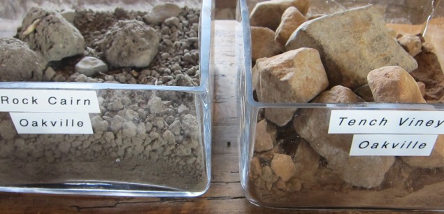 Soil samples from two of Nickel & Nickel single vineyard Cabernet Sauvginon in Napa Valley 