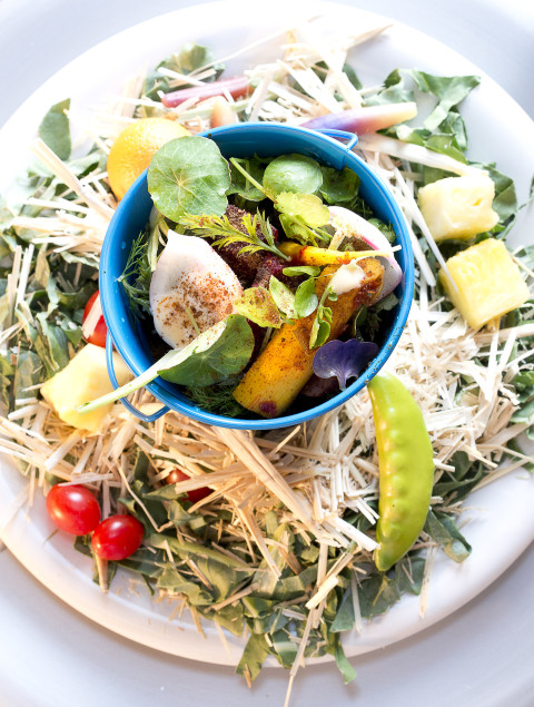 We were warned not to eat the garnish! Nancy's Elephant Salad was served in a colorful pail surrounded by real and fake elephant food and hay. (Photography by Elizabeth Lavin)