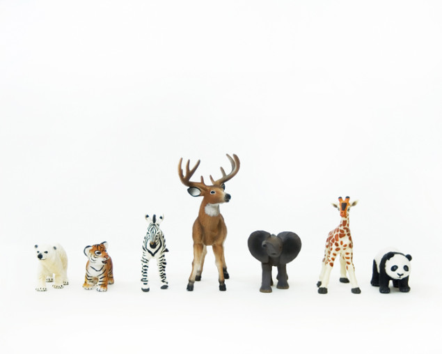animalcollection