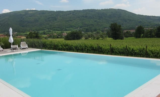 Swimming pool set amongst the vines at Lantieri, available to guests staying at the winery 