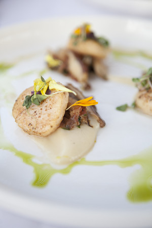 Seared Scallops. Photo by Kim Duffy.