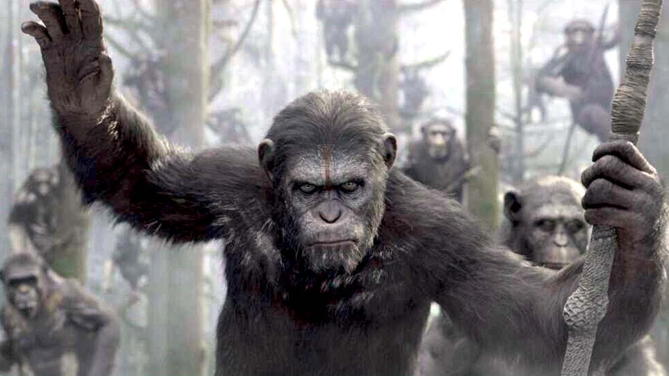 Dawn of the Planet of the Apes': Other Monkey and Ape Movies – The  Hollywood Reporter