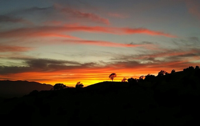 Sunset Over Napa Valley - photos by Hayley Hamilton Cogill