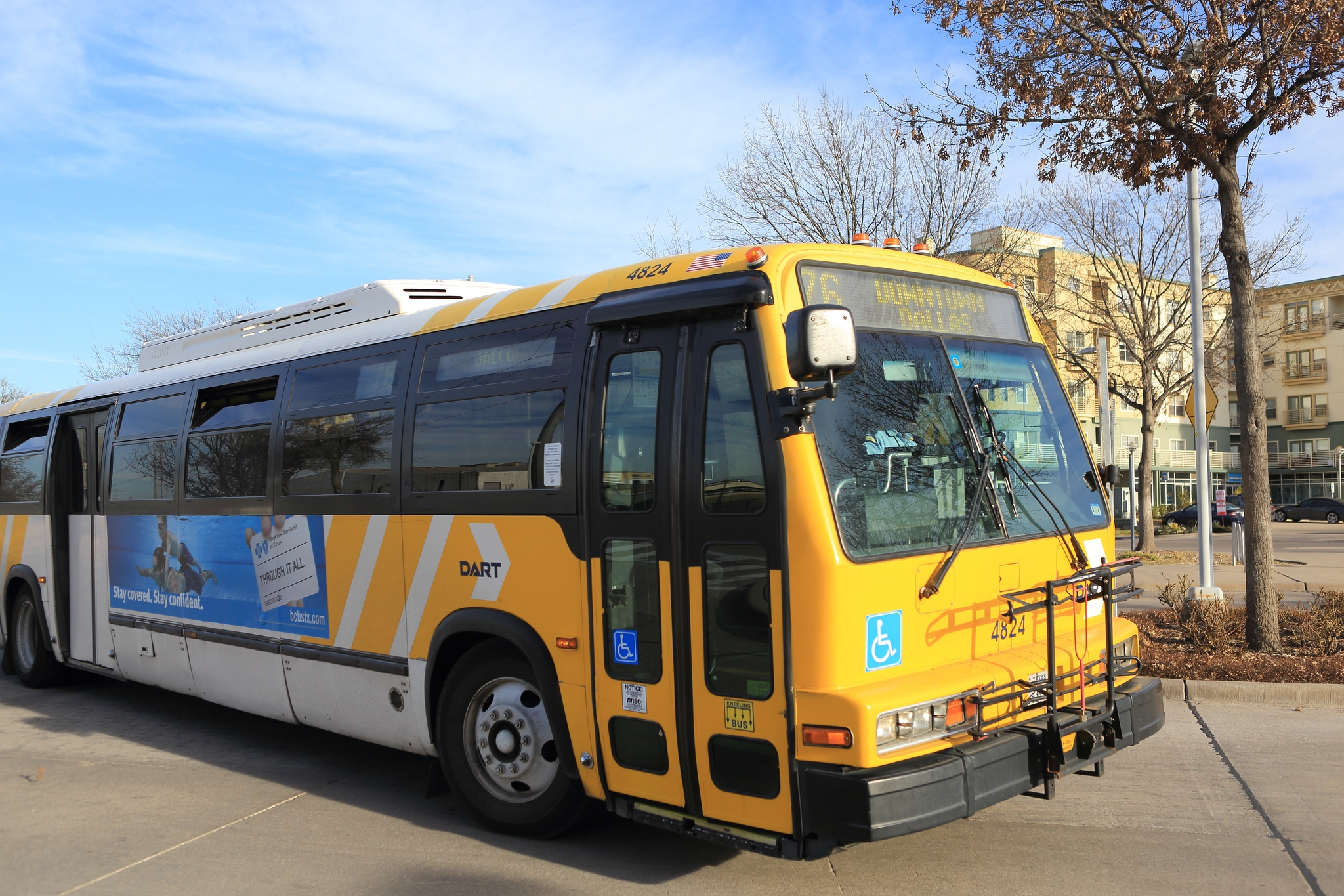 dart train schedule today