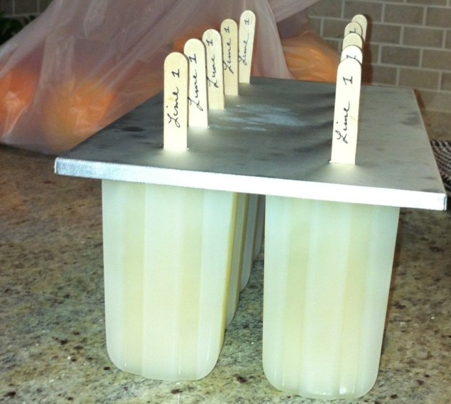 The very first batch of lime pops. Photo courtesy of John Doumas and Jen Yates.