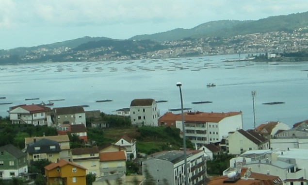 Bateas dotting the inlets near the town of Vigo
