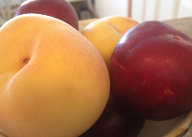 Peaches and plums are two of the easiest fruits to grow in North Texas.