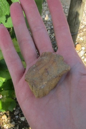 Silex, or flint stone, found throughout Pouilly Fume & Sancerre giving a wine smokey characteristics