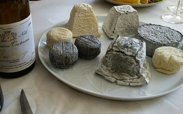 Various fresh and aged Loire Valley goat cheese selections