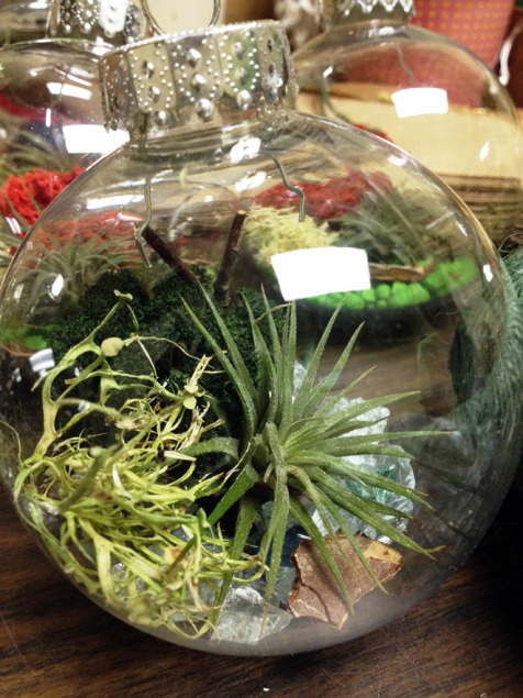 Tiny tillandsias can be tucked into ornaments and small glass vessels. 