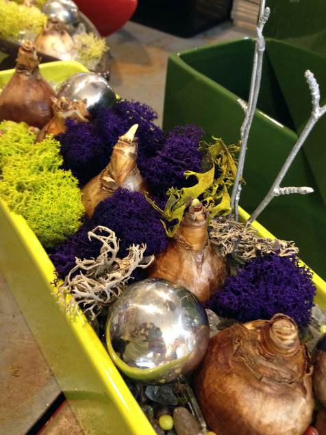Colorful reindeer moss, silver spheres, recycled glass and twigs modernize this bulb planting. 