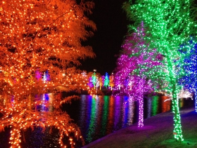 Image result for holiday light scenes