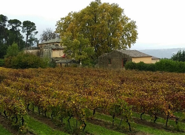 Chateau la Canorgue Vineyard and farmhouse, featured in the film "A Good Year"