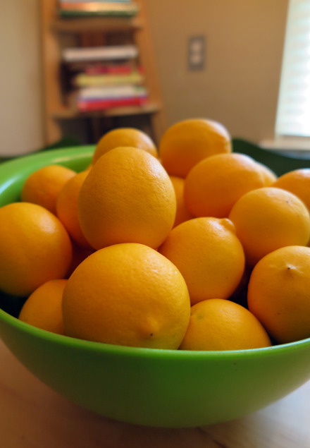 Halleck_Meyer_lemon_bowl