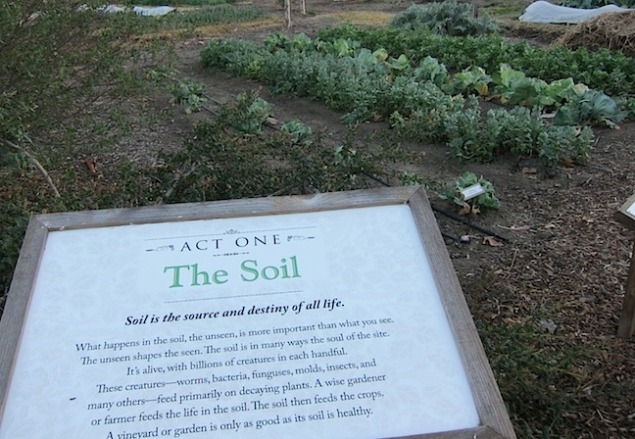 Biodynamically farmed Raymond Vineyard