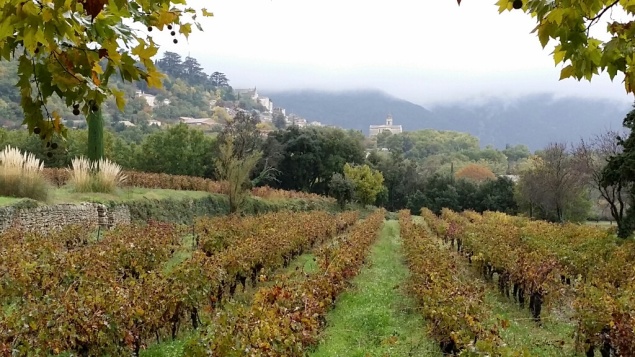 Chateau la Canorgue vineyards looking out on the village of Bonnieux in Côtes du Luberon, Rhone, France