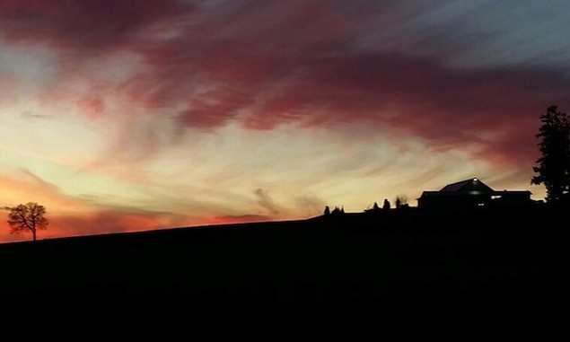 Sunset over Stoller Family Estate