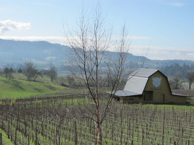 A view of Bergstrom's Chehalem Mountain vineyards from their tasting room