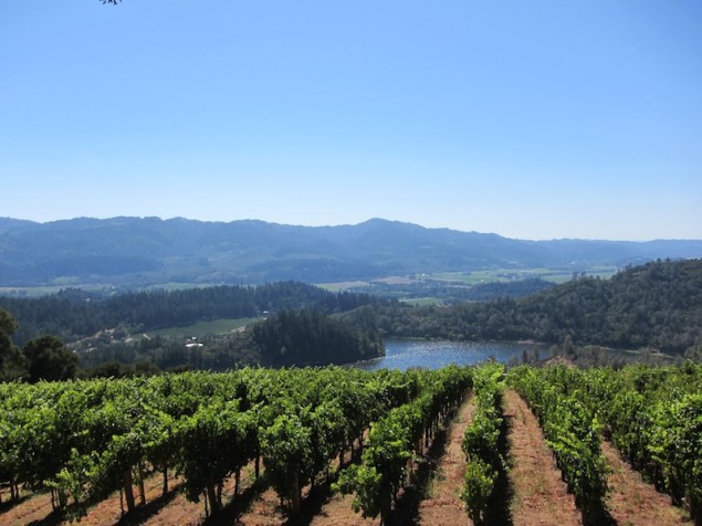 Viader Vineyards on Howell Mountain