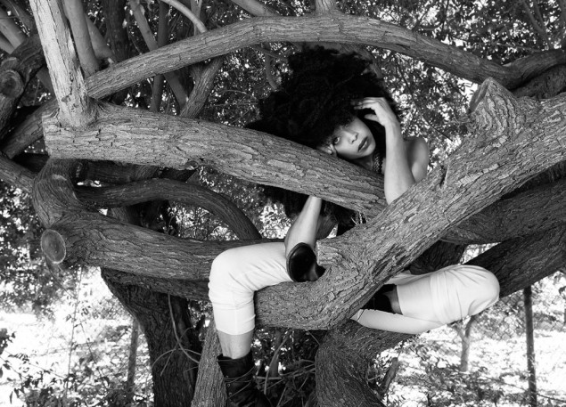 Badu in a tree. Photo by Elizabeth Lavin
