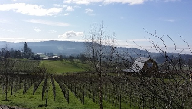 Bergstrom Winery Estate in Willamette Valley