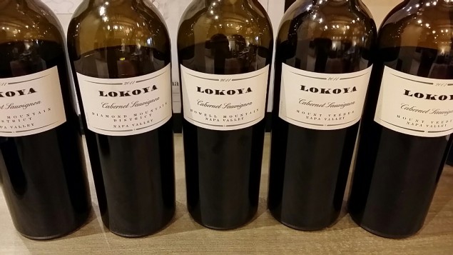 lokoya