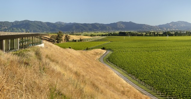 Brancott Estate Heritage Center looking out on their Sauvignon Blanc vines; photo courtesy of Brancott Estate