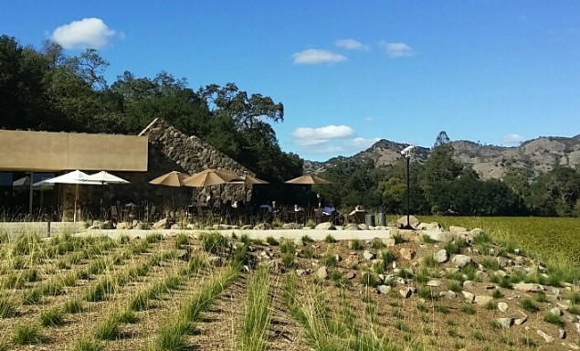 Stag's Leap Wine Cellars ew tasting room in the Stags Leap AVA, Napa Valley; photo by Hayley Hamilton Cogill