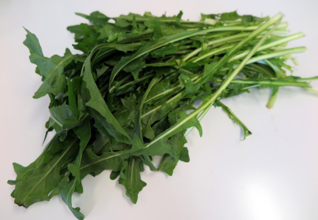 Halleck_Arugula_Eruca_sativa (2)